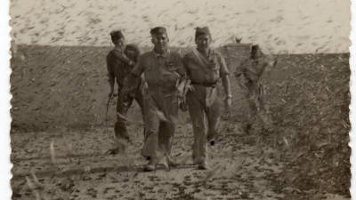 Las plagas de langostas eran habituales en Sidi-Ifni. FOTO:associaci&oacute; catalana de veterans de sidi-ifni/arxiu montserrat tarradellas i maci&agrave;