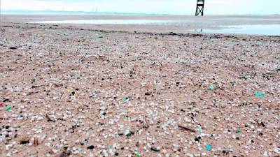 Si bien la problemática afecta a varias playas de la demarcación de Tarragona, la más afectada es la de La Pineda. Foto: Good Karma Projects