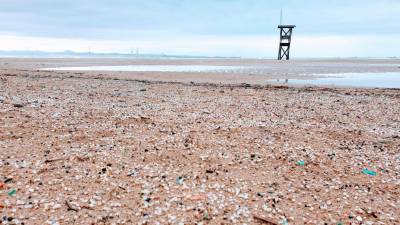 Una de las imágenes que se han visto en el pasado en la arena de la playa de La Pineda. Foto: Good Karma Project