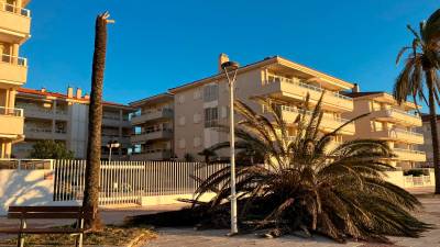 Paseo marítimo de Sant Salvador, en El Vendrell. Foto: José M. Balselga