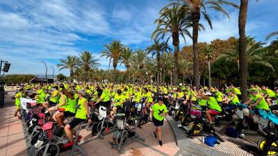 El paseo de las Palmeres, punto neurálgico de la Pedals. foto: MCG