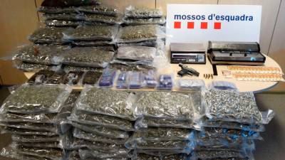 Los Mossos intervinieron 88 kg de cogollos y 10 kg de hachís, sustancia que en el mercado ilícito tendría un valor de casi 178.000 euros. Foto: Mossos d’Esquadra