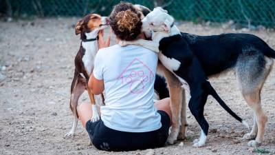 El CAAD de Calafell atiende a los animales e impulsa las adopciones. foto: CAAD