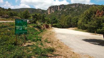 Zona propera a Brugent, dins l’espai protegit de les Muntanyes de Prades. Foto: Àngel Juanpere/DT