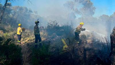 El fuego su sofocado en unas tres horas. Fotos: DT