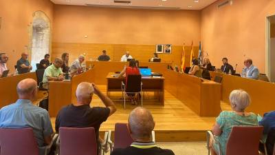 El acuerdo extrajudicial pasará a aprobación en el pleno municipal del próximo lunes. Foto: DT