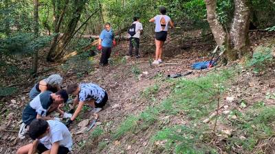 Infants observant la biodiversitat que es pot trobar en una zona arbrada. foto: cedida