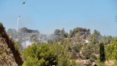Imagen del incendio en Xerta. Foto: Joan Revillas