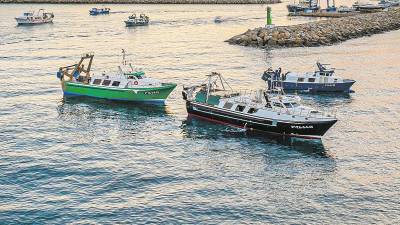 La flota de barcas de arrastre de Cambrils saliendo del puerto a faenar. Foto: Cedida