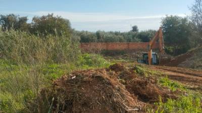 La limpieza debe dar capacidad al torrente para evitar desbordamientos.