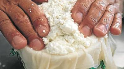 Los quesos de ‘La Vall del Brugent’, de leche de cabra, también tienen protagonismo en esta iniciativa. foto: javier corso/national geographic