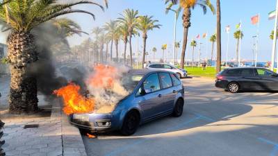 El coche en llamas estaba estacionado en el vial paralelo al paseo Pau Casals. Foto: DT