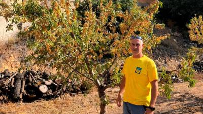 El concejal de Obres i Serveis del Ayuntamiento de La Bisbal de Falset, Miquel Ardèvol, con un árbol frutal afectado. foto: cedida