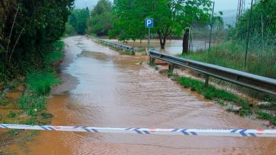 Camí inundat a la zona de la bassa del Montsià, a Ulldecona. Foto: Núria Ventura
