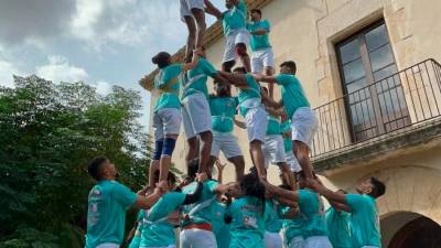 Ayer, los Govindes de Mumbai levantaron construcciones en las Caves Oriol Rossell de Sant Marçal. Foto: Castellers de Vilafranca