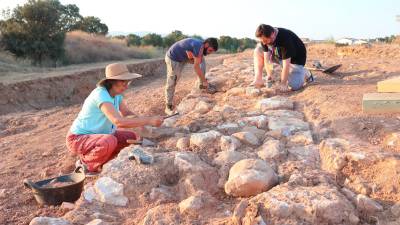 Els voluntaris netejant la cresta d’una de les muralles de la ciutat ibera de Banyeres. Foto: Roser Urgell