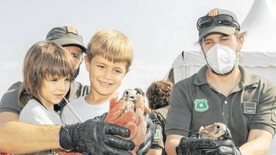 Alliberament d’aus per part de nens i Agents Rurals, al Delta Birding Festival. foto: Mónnatura delta