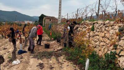 Un grupo de vecinos reconstruyó un margen de piedra en Albinyana.