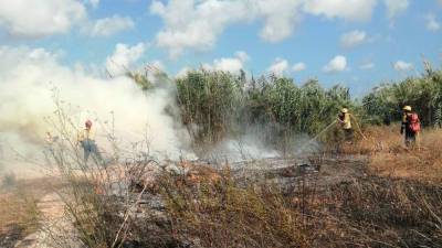 Los bomberos durante los trabajos de extinción. Foto: Bombers de la Generalitat