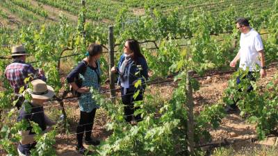 Imágenes de la visita y la cata de los vinos de la bodega Clos Galena. Fotos: s. fornós