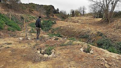 L’alcalde a la zona que s’ha desbrossat i on s’han plantat diferents espècies d’arbres. Foto: Àngel Juanpere