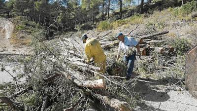 El territori veu amb bons ulls el creixement de l’ús de biomassa, que pot suposar llocs de treball en gestió forestal o creació de noves empreses. FOTO: Joan Revilas