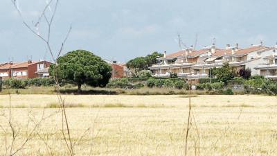 En años anteriores los disparos de los cazadores despertaban a los vecinos de la zona de Vilafortuny. FOTO: Alba Mariné