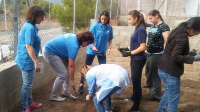 Voluntarios y jóvenes compartieron una jornada de trabajo en el huerto del centro. FOTO: DT