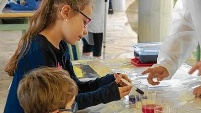 Alumnos que han participado de la prueba piloto haciendo uno de los experimentos que propone el programa. FOTO: CEDIDA