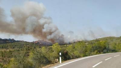 El humo, desde una carretera cercana. Foto: DT