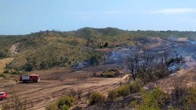 El incendio afecta a una zona de vegetación cerca de la C-241D en Sant Coloma de Queralt. Foto: DT