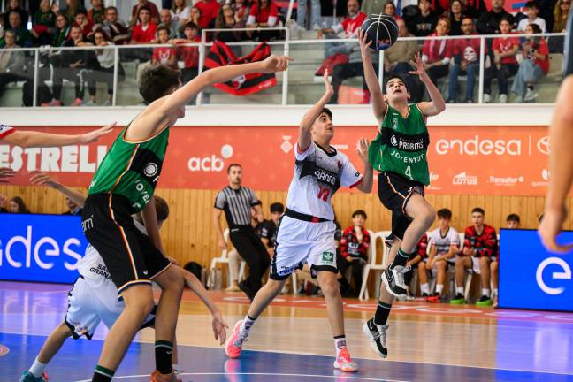 Jugadas de primer nivel, ilusión en los rostros, arbitrajes de un partido profesional... la Minicopa Endesa es brutal. Fotos: ACB