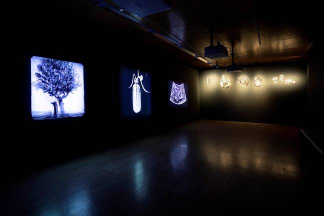 $!‘Ulysse: echo scan, slide, bottle’, una instalación que habla del cuerpo humano. Foto: Cedida/Fundació Sorigué