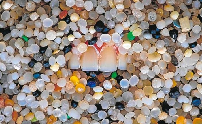 $!‘Zombi’, la dentadura postiza entre ‘pellets’. Foto: Ferran Aguilar