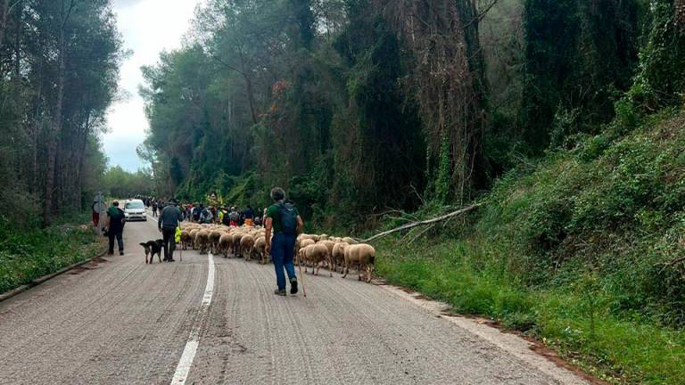 $!Un tramo de la vía pecuaria.