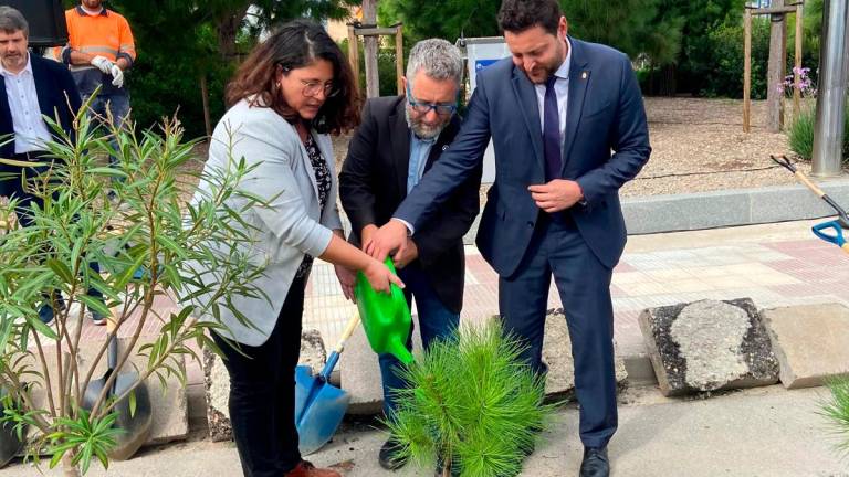 El primero de los nuevos árboles de la zona portuaria. Foto: O.S.