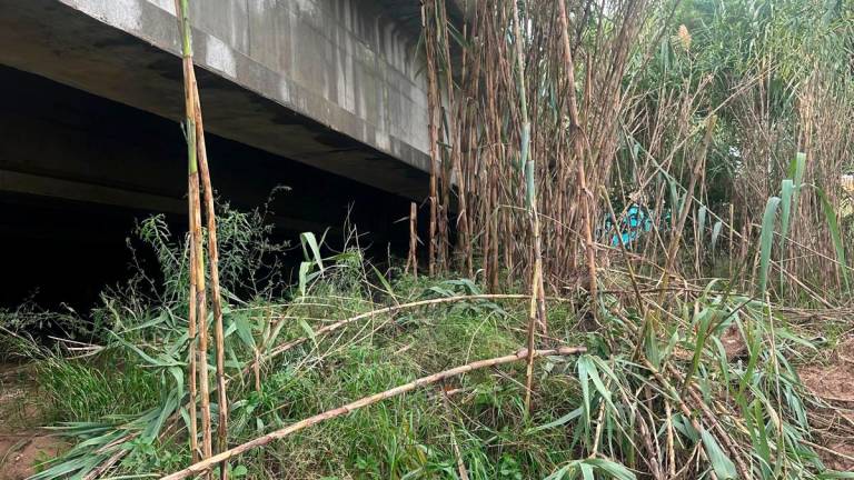 Los vecinos reclaman actuaciones contundentes y continudas en la riera de Maspujols, en la zona del vial del Cavet. Foto: Cedida