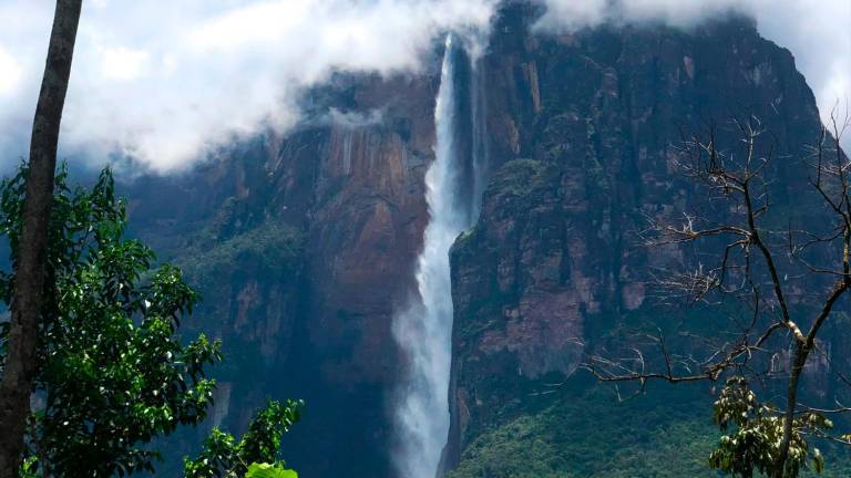 El Salto del Ángel es la cascada más alta del mundo, con una altura de 979 metros. Se encuentra en Venezuela. Foto: Felipe Gutiérrez