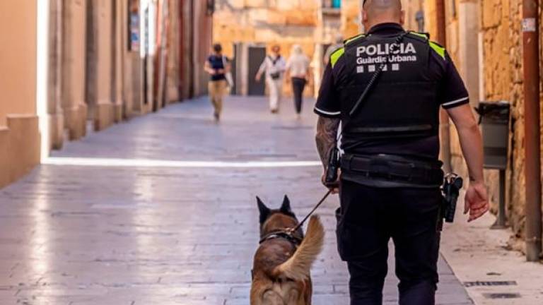 Un agente de la unidad canina de la Guàrdia Urbana de Tarragona. Foto: cedida