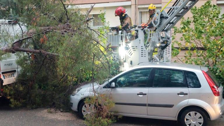 Los bomberos cortando el pino. Foto: DT