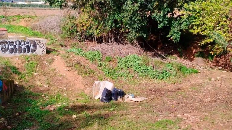 $!VIDEO: La huelga de basuras en el Baix Penedès atrae a ratas, jabalíes y zorros