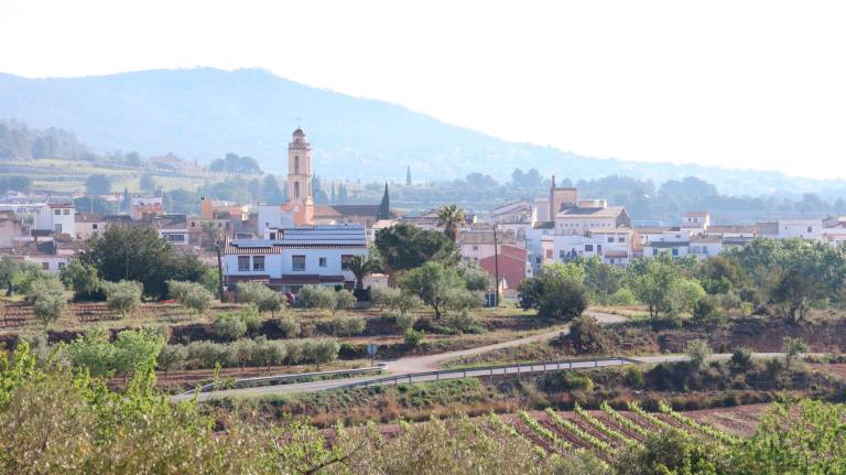 La Bisbal del Penedès està catalogat com a municipi amb alta vulnerabilitat al risc d’incendis. Foto: R. Urgell