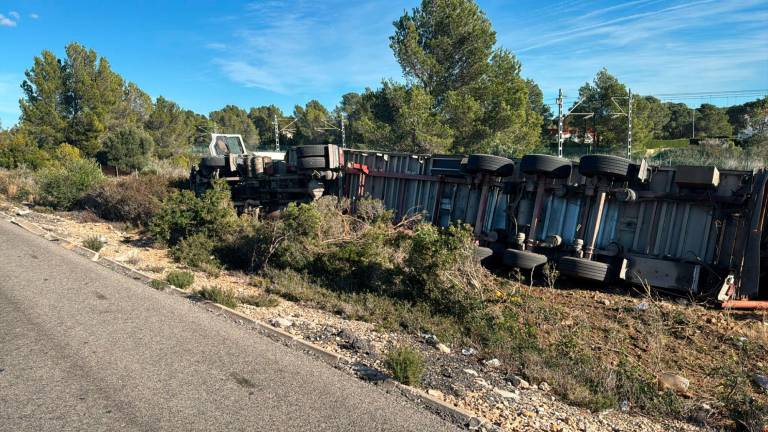 $!Cuidado en la AP-7: posibilidad de cerdos en la vía