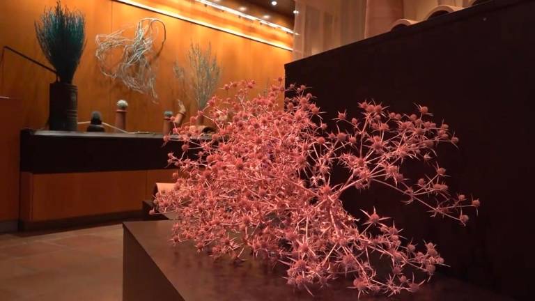 Mostra de l’exposició ‘Altar Floral’, de Pepi Querol, al Museu Terracota de la Galera. Foto: Cedida