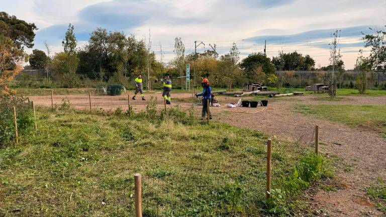 El parc de l’Abeurada és un espai amb un alt valor ecològic. Foto: Ajuntament de Reus