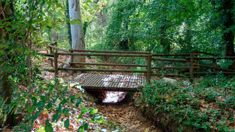 Puente de madera sobre el cauce del agua. FOTO: S. García