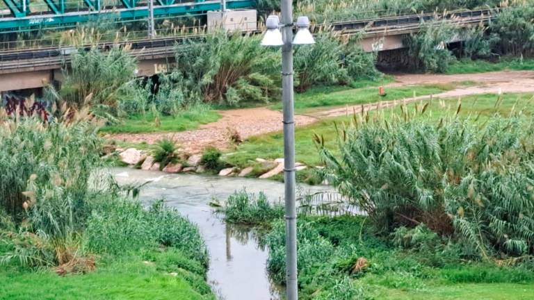 Aspecto que tiene el río Francolí, a su paso por Torres Jordi. Foto: Cedida