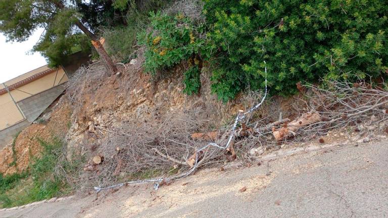 $!Vecinos de una urbanización de Cunit en riesgo por una caída de árboles