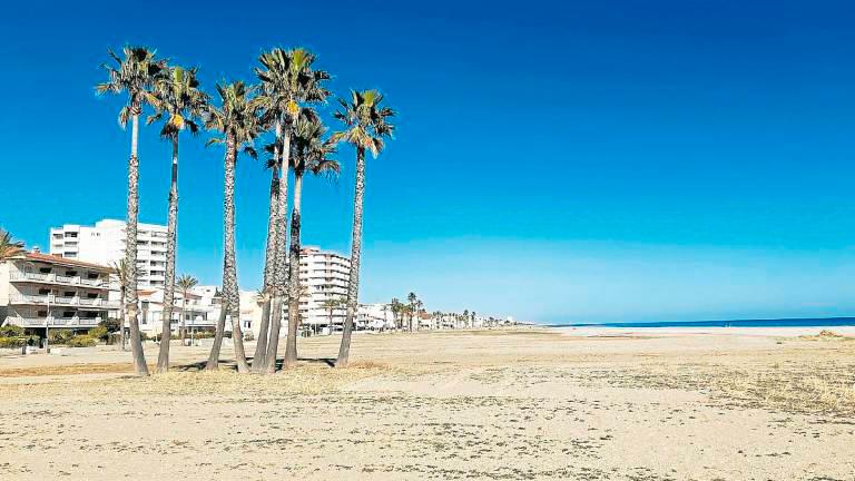 Una de las islas de palmeras en las playas de El Vendrell.