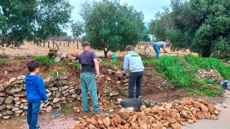 $!Banyeres recupera un muro de piedra para reivindicar el patrimonio agrícola